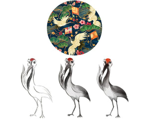 Custom Product Image