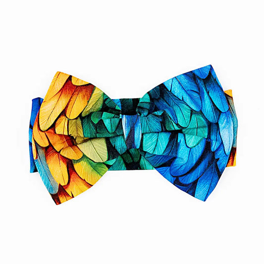 Colorful butterfly wing patterned bow tie on a white background