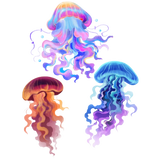 Three colorful jellyfish illustrations in pink, orange, and blue on a transparent background
