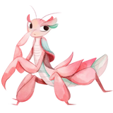 Orchid Mantis
