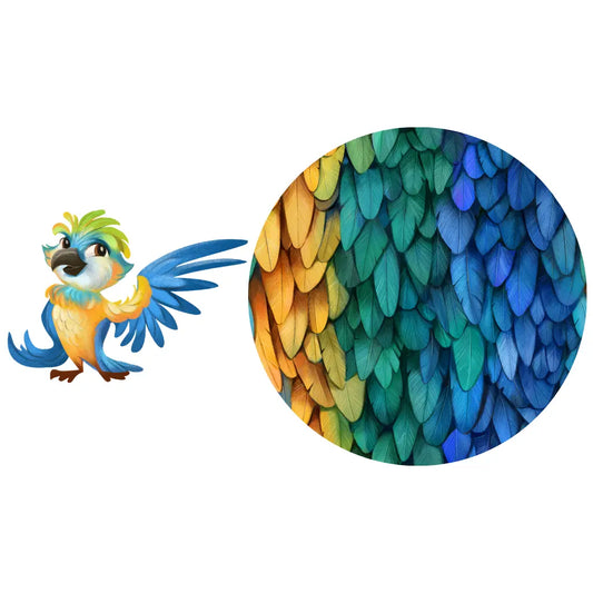 Parrot print showing a cartoon blue and yellow parrot and a circular close-up of colorful rainbow feathers on a white background