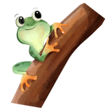 Tree Frog